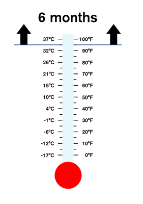 Shelf life deteriorates to 6 months when temperatures are held at a constant 95°F (35°C) or higher.